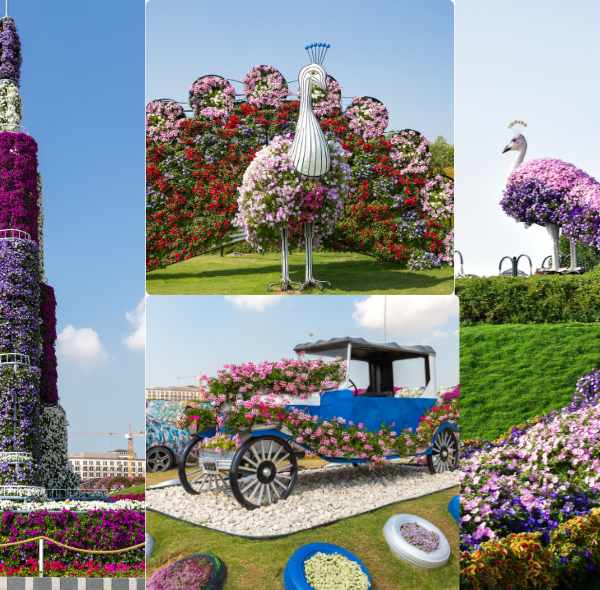 Dubai Miracle Garden Tour with Transfer